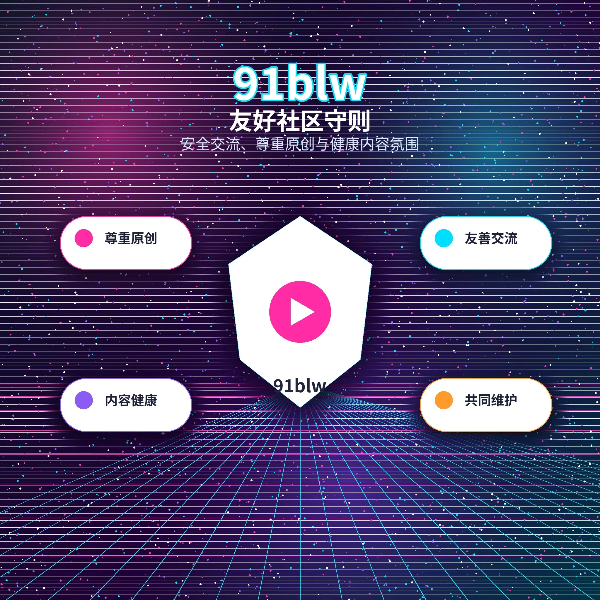 91网理性社交服务介绍